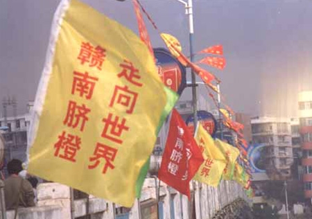 &#21315;&#20159;&#20307;&#32946;&#30331;&#24405;&#32593;&#31449;&#65288;&#20013;&#22269;&#65289;&#38598;&#22242;&#26377;&#38480;&#20844;&#21496;
